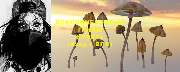 дмт Вяземский