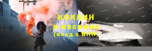 дмт Вяземский