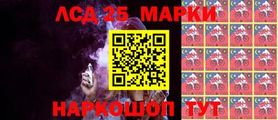 спиды Кингисепп