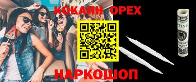 спиды Кингисепп