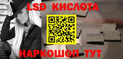 спиды Кингисепп