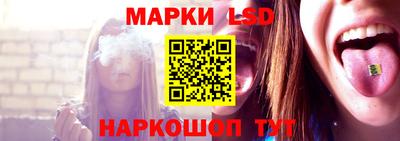 спиды Кингисепп