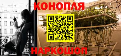 стафф Коммунар