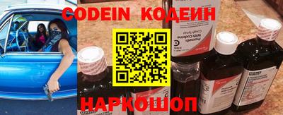 спиды Кингисепп