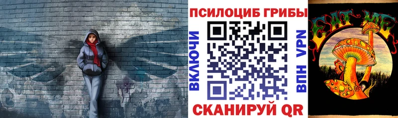 Псилоцибиновые грибы мицелий  Отрадный 