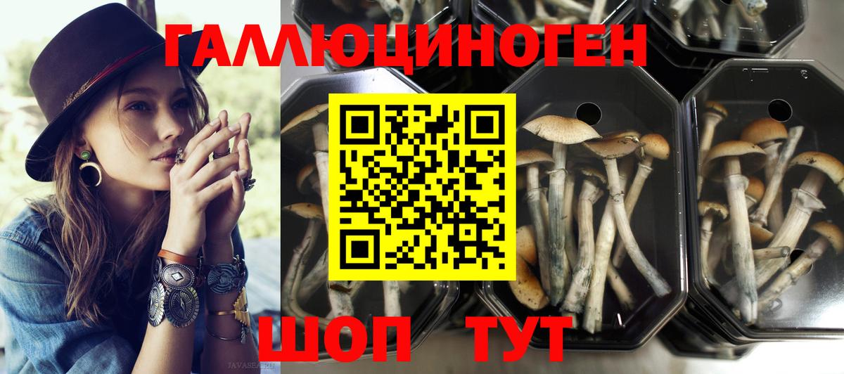 Галлюциногенные грибы прущие грибы  Вход с VPN  Отрадный 