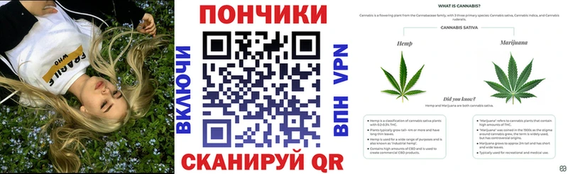 Бошки Шишки сатива где можно купить Отрадный